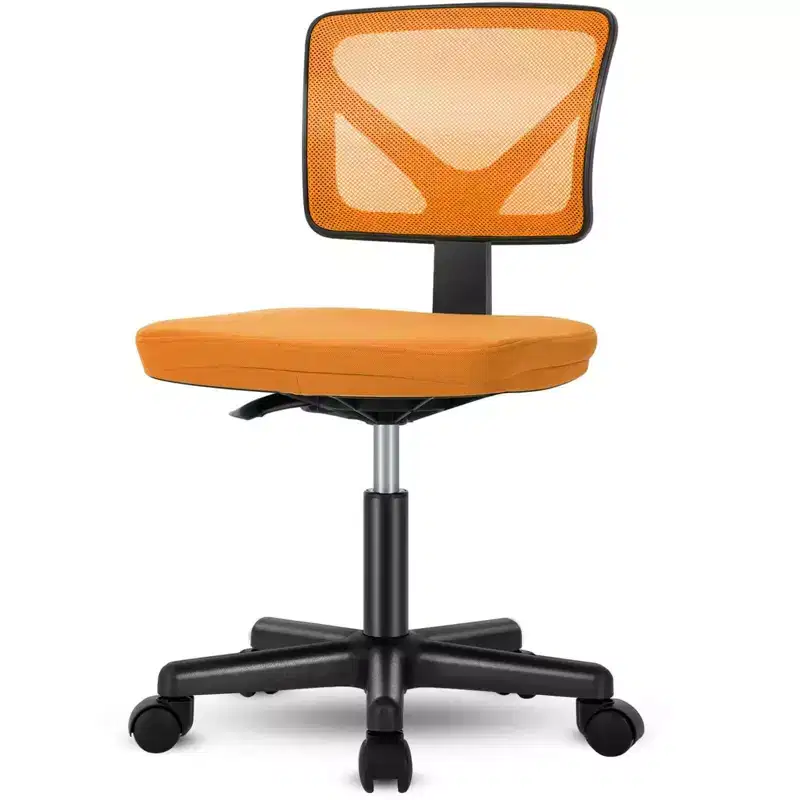 Okak Low-Back Mesh Office Chair with Armless Design, Computer Chair with Lumbar Support, Desk Chair for Study, Reading Room, Office