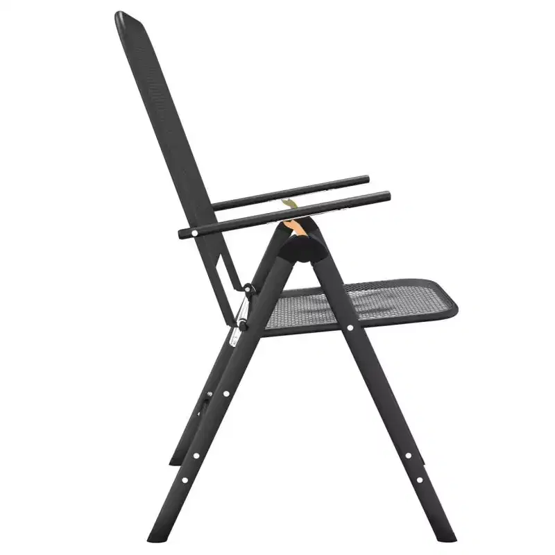 vidaXL Folding Garden Chair Set of 2