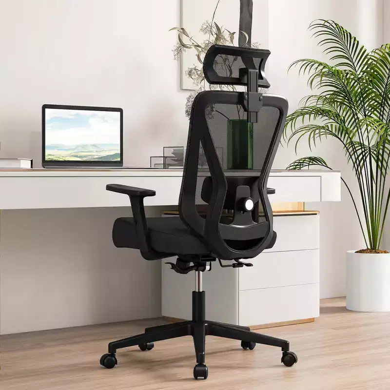 Costway Ergonomic Office Chair with Adjustable Lumbar Support Tilting Function Headrest Black