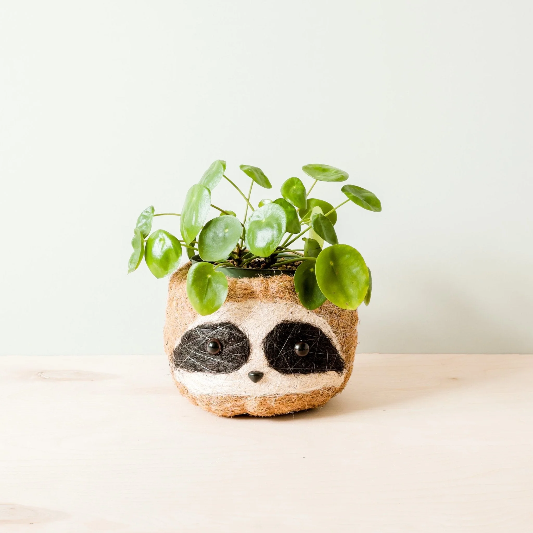 Large three-tone Sloth - Coco Coir Pots (6 inch)