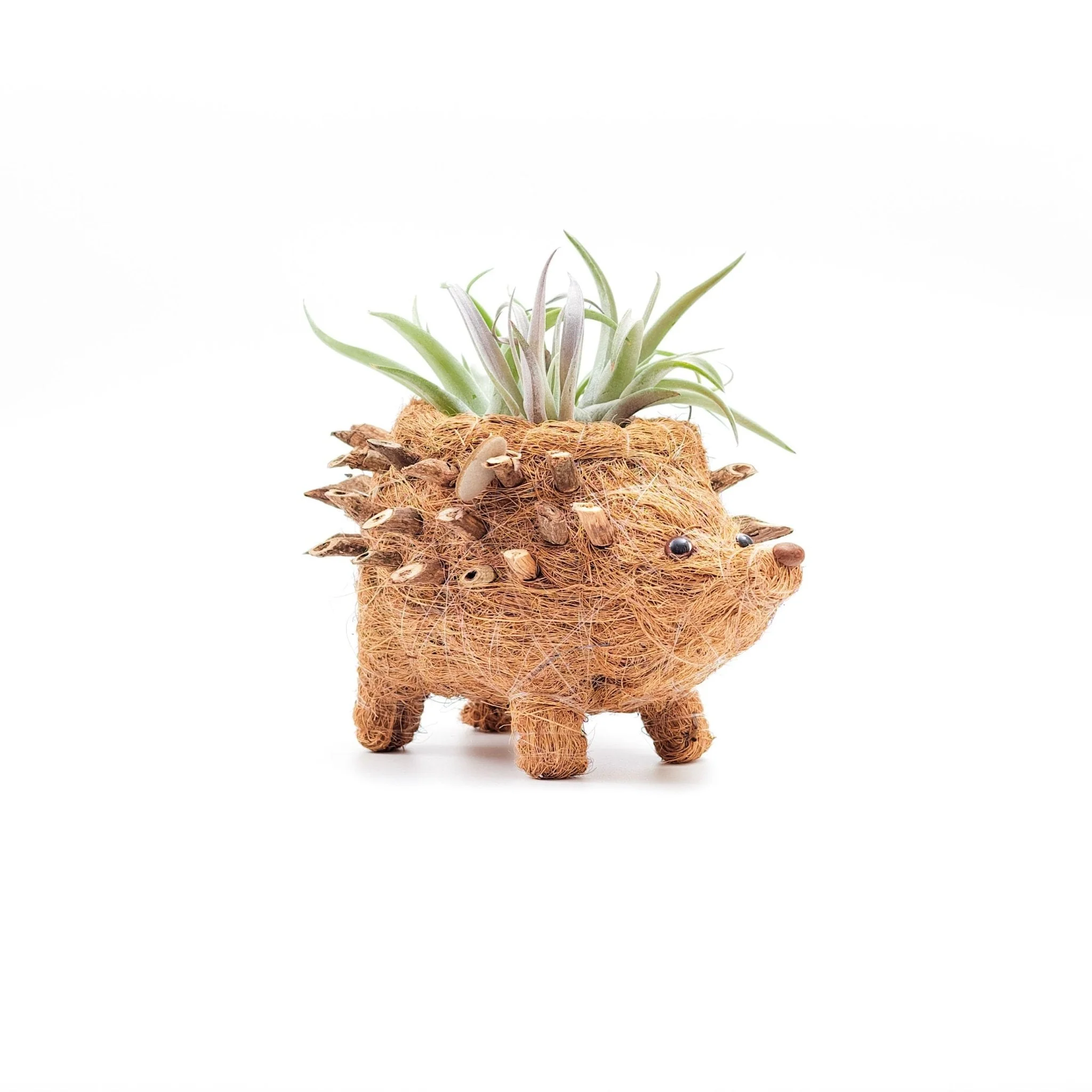 Baby Hedgehog Plant Pot - Handmade Planters