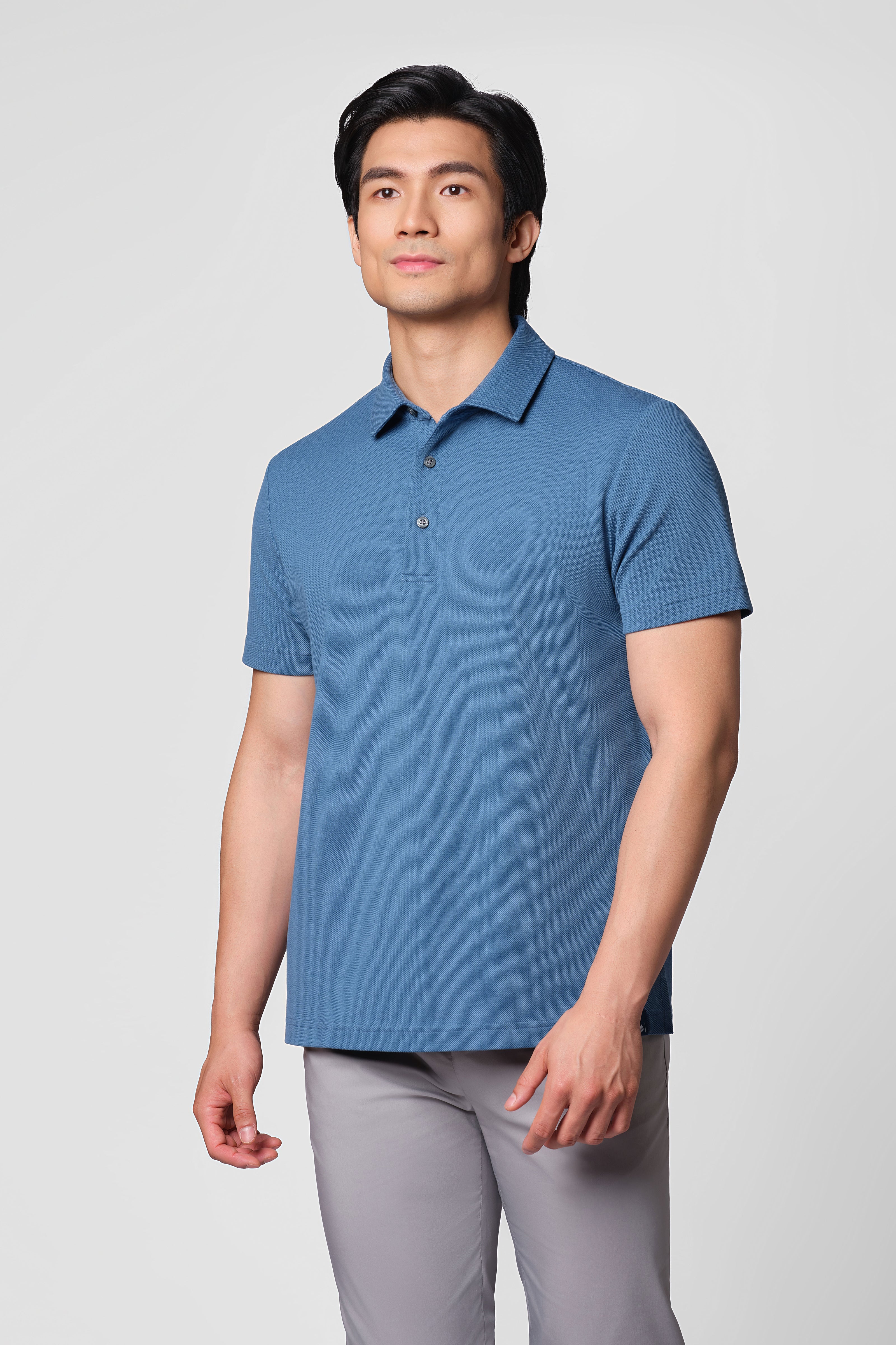 Polo – Arctic Sky