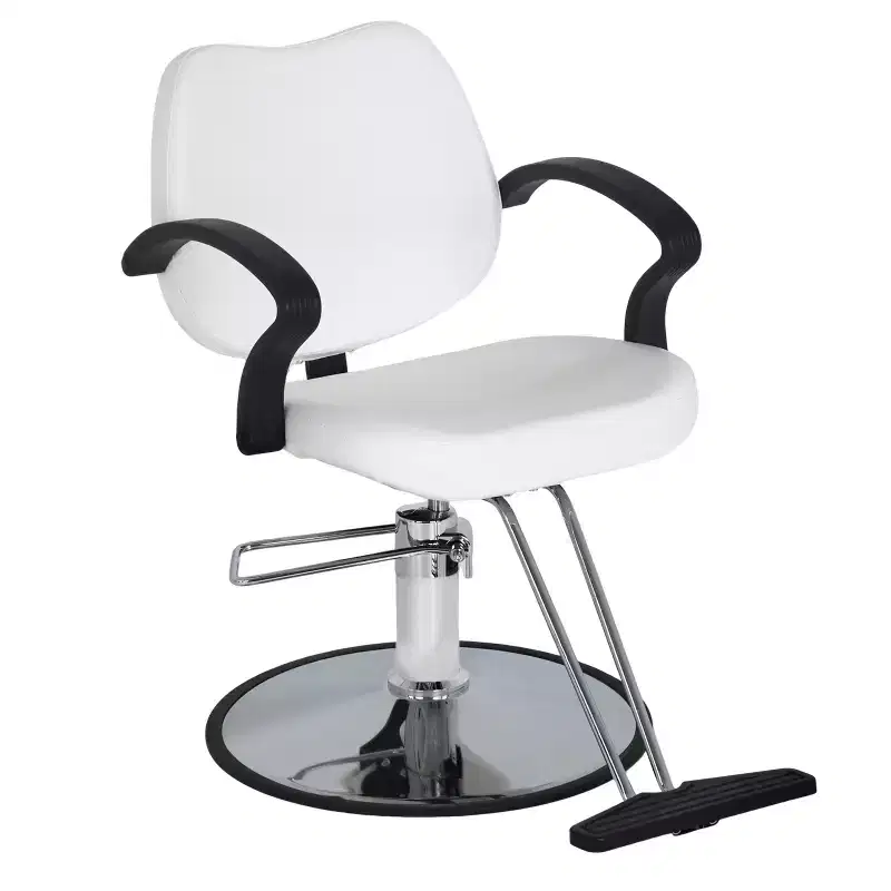Barber Chair Hair Salon Chair with Hydraulic Pump, 360 Degrees Swivel