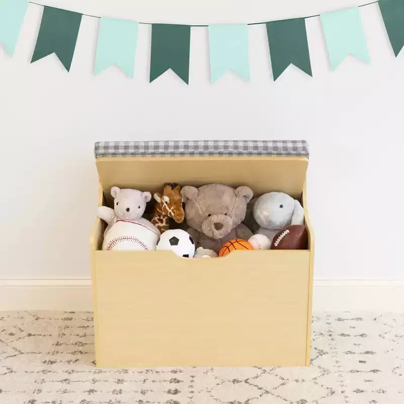Kids Hinged Toy Chest with Removable Cushion