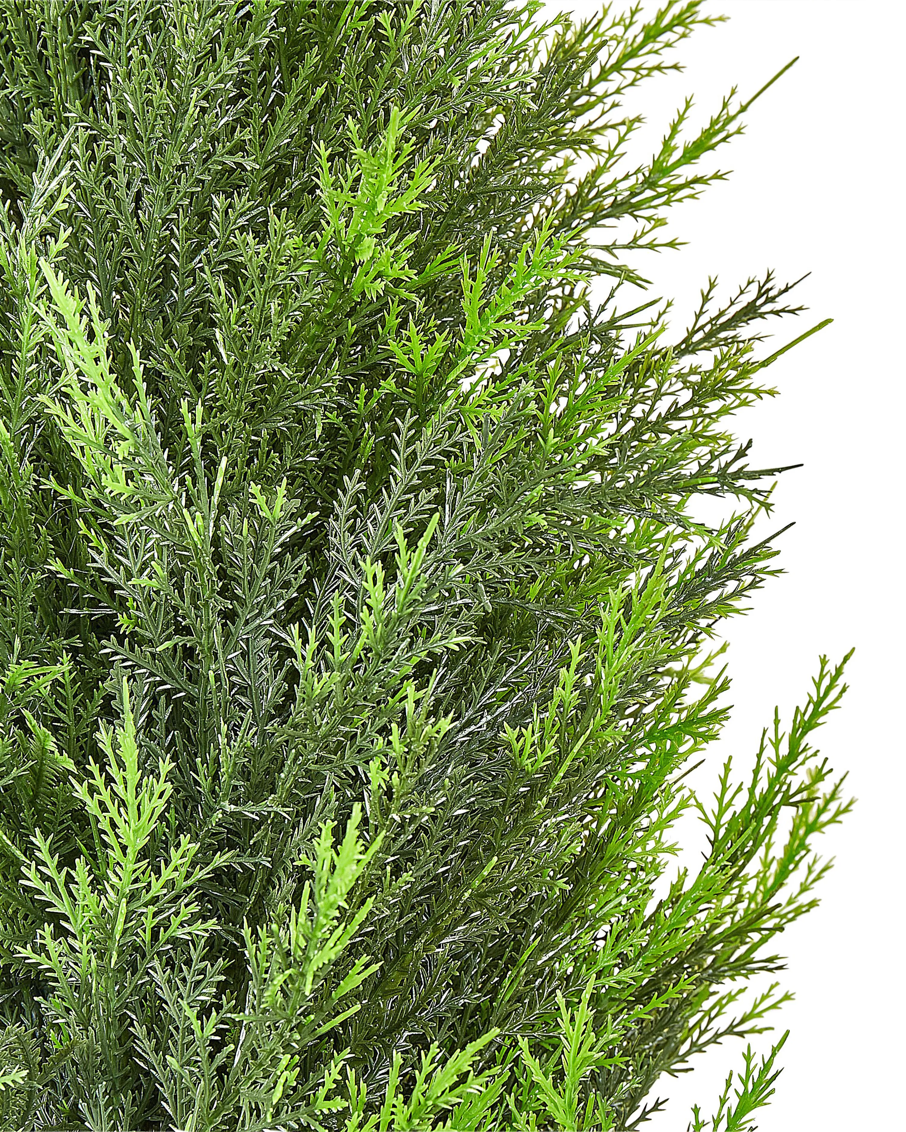 Pianta artificiale CEDAR TREE 153 cm Verde