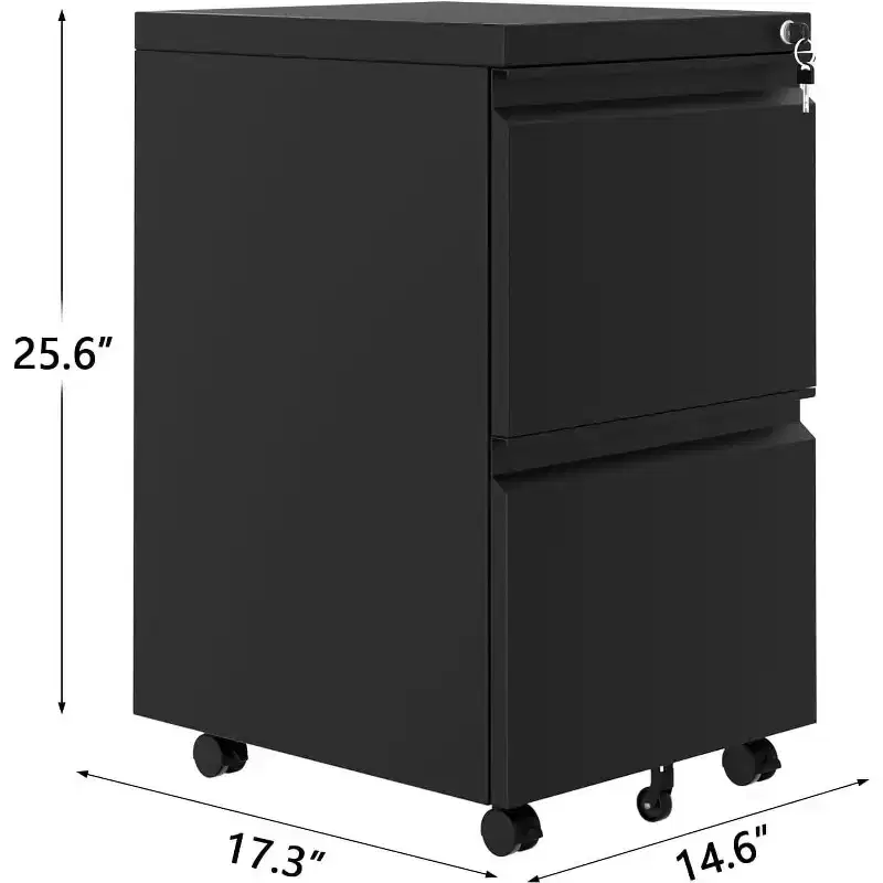 Acekool 2-Drawer Vertical Storage Cabinet with Lock, Metal File Organizer for Home Office or Bathroom, Letter/Legal Size Files, Black