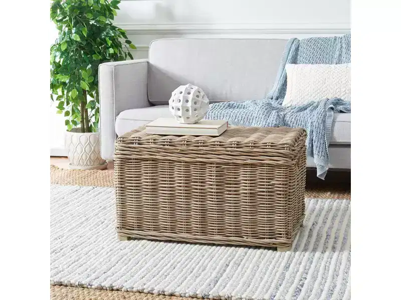 Mikasi Trunk - SEA7018 - Grey - Safavieh
