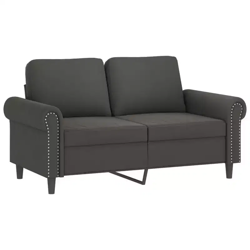 Modern 2-Seater Sofa in Luxurious Dark Gray Velvet with Sturdy Metal and Plywood Frame Comfortable, Stylish, and Easy-to-Assemble.