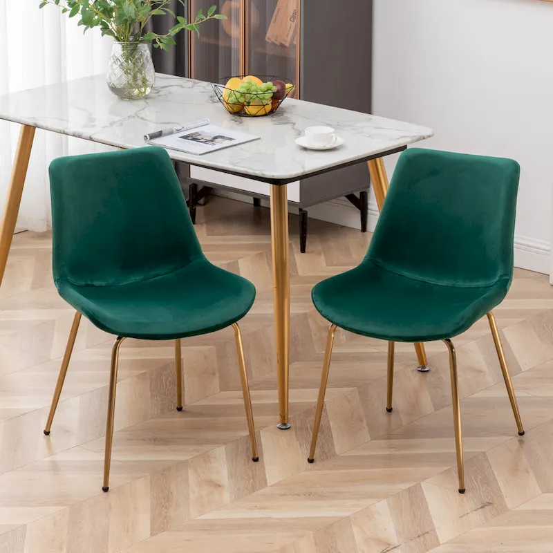 Roundhill Furniture Aufurr Modern Velvet Dining Chair (Set of 2)