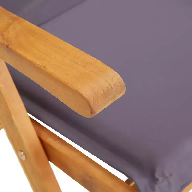 vidaXL Garden Chair Set of 2 Dark grey