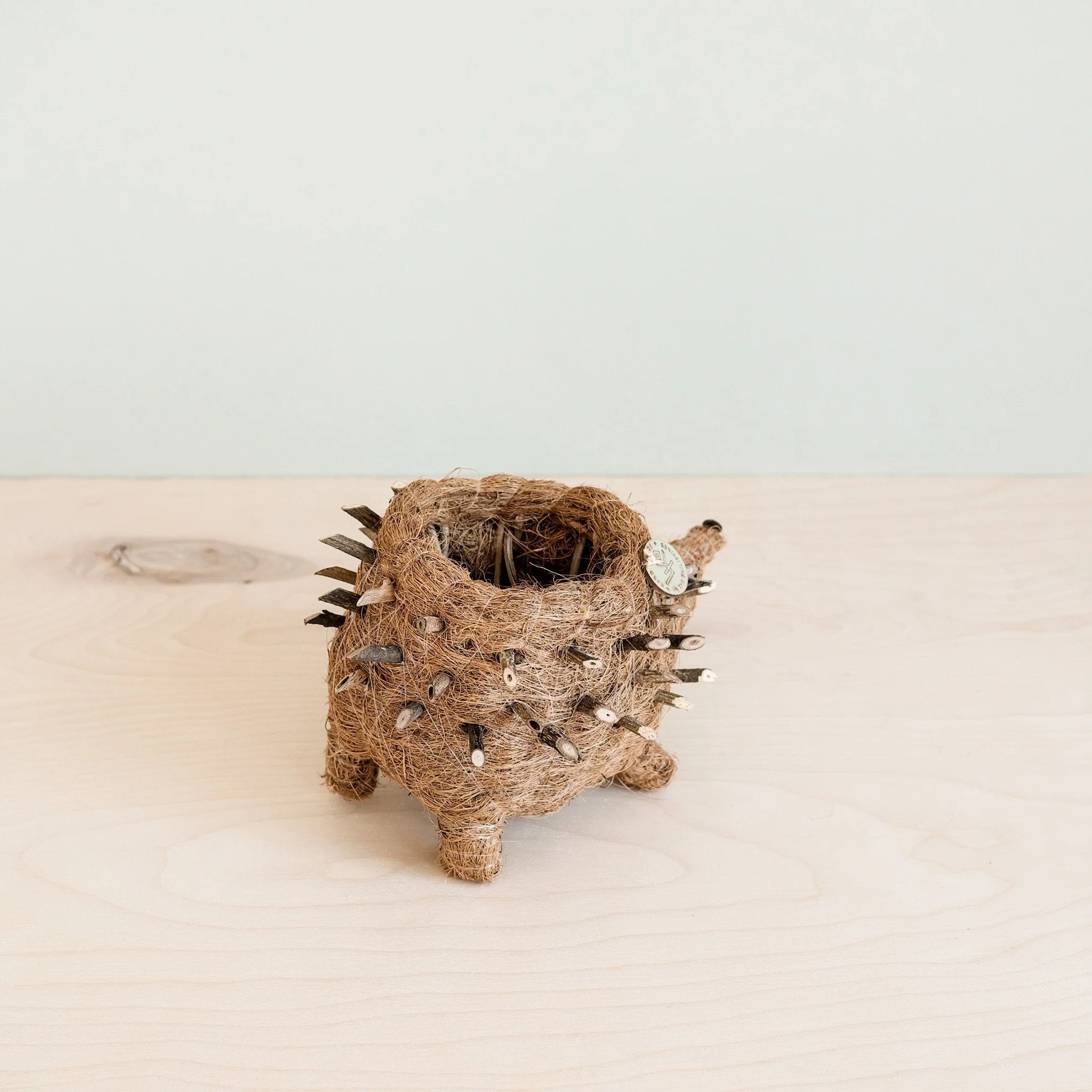 Baby Hedgehog Plant Pot - Handmade Planters