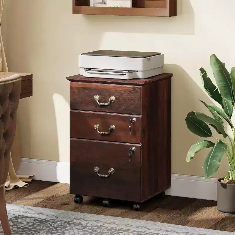 DEXYLLO File Cabinet 2-Drawer, Small Office Furniture with Lock, Rolling Under Desk Filing Cabinet for Home Office