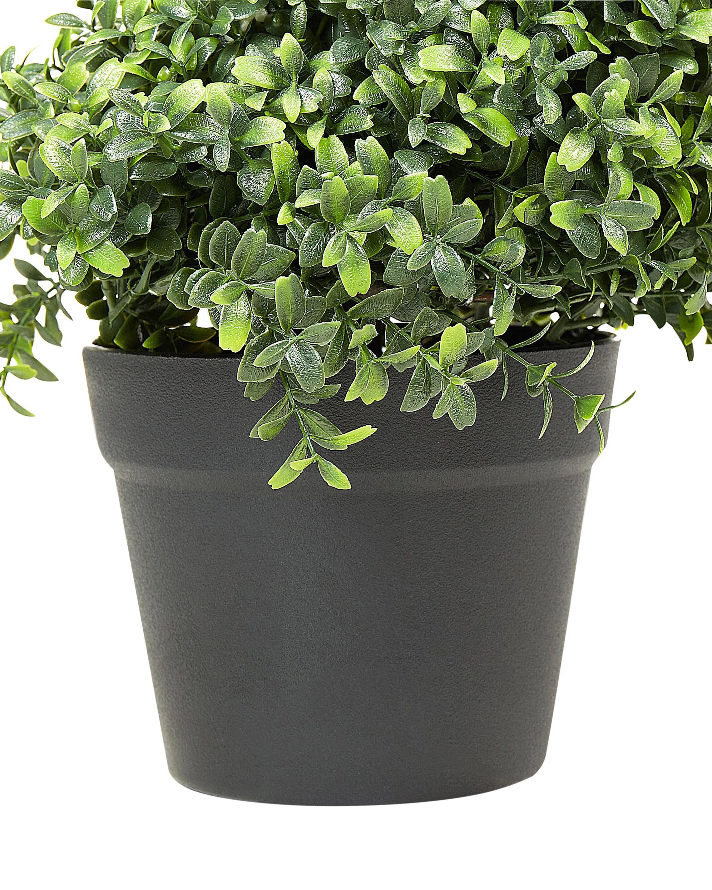 Pianta artificiale BUXUS SPIRAL TREE 98 cm Verde