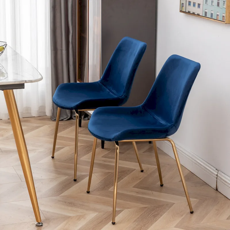 Roundhill Furniture Aufurr Modern Velvet Dining Chair (Set of 2)