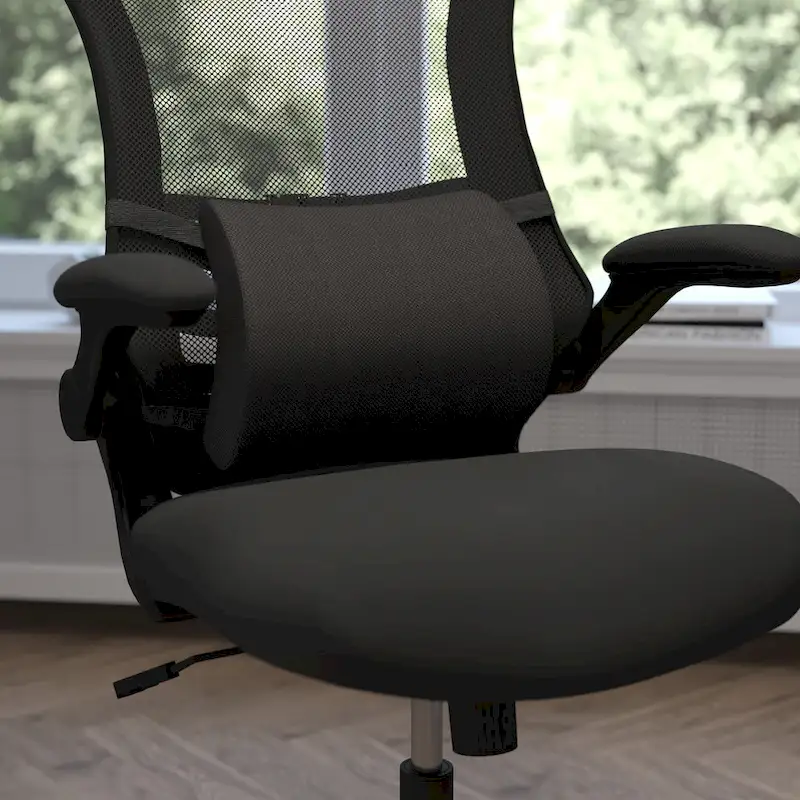 Mobile Adjustable Lumbar Support Pillow for Office Chairs and Car Seats