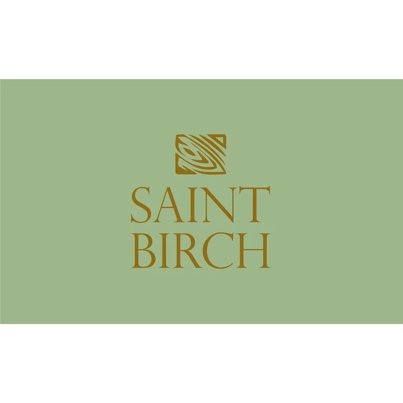 Saint Birch Cambridge Modern Farmhouse 47 Inches 5-Drawer Writing Desk