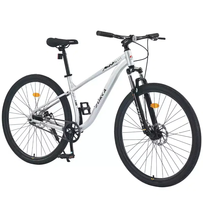 Okak 29IN Single Speed Mountain Bike, Adult Bike with Steel Frame and Front Suspension, Mens Bike for Commuting, Travel, Mountain