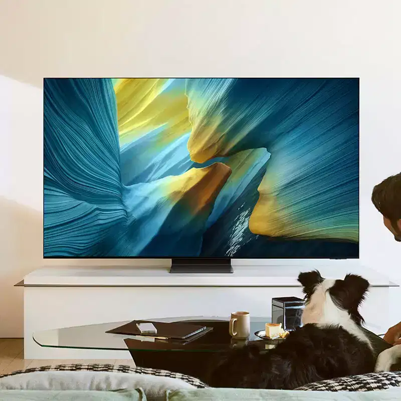 Samsung S95F 65 Inch 4K OLED Smart TV with AudioQuest SKY 3m HDMI Cable