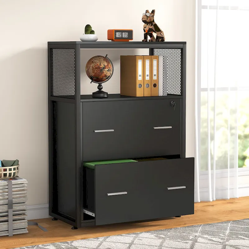 2-Drawer Lateral File Cabinets Legal Size, Large Filing Cabinet with Lock, Printer Stand