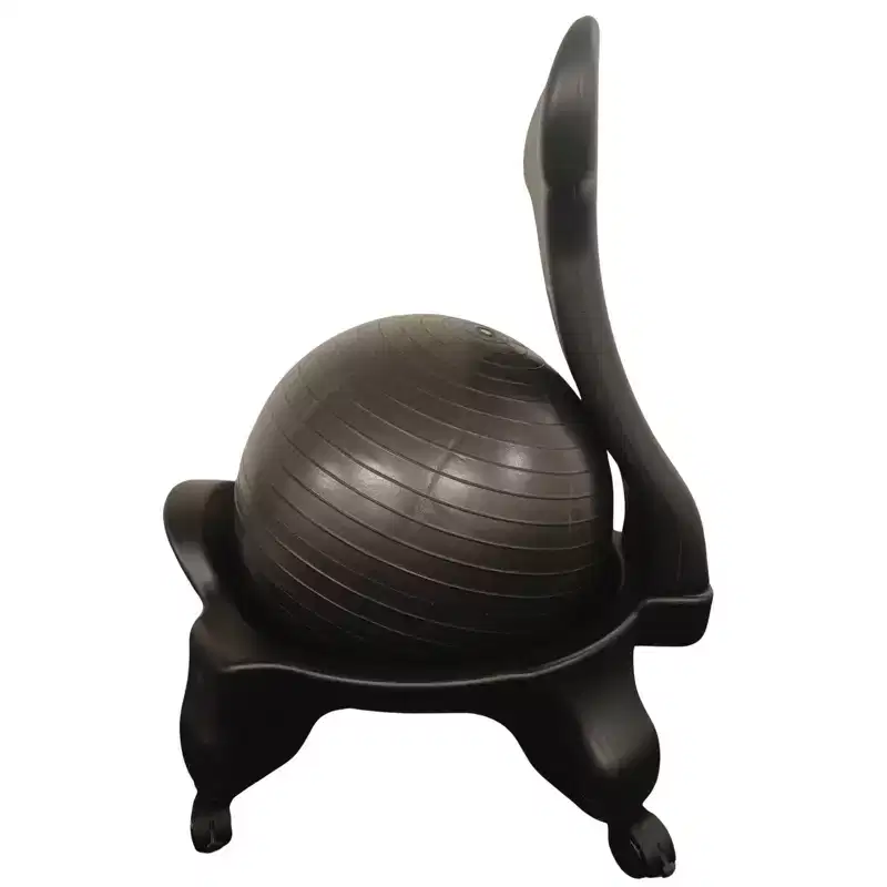 Bintiva Stability Ball Chair, Adult, Black/Black