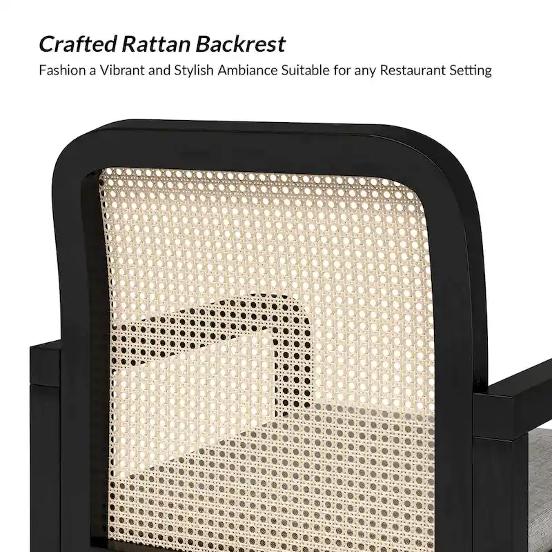 Antoine Modern Ratten Back Dining Chair with Removable Cushion by HULALA HOME