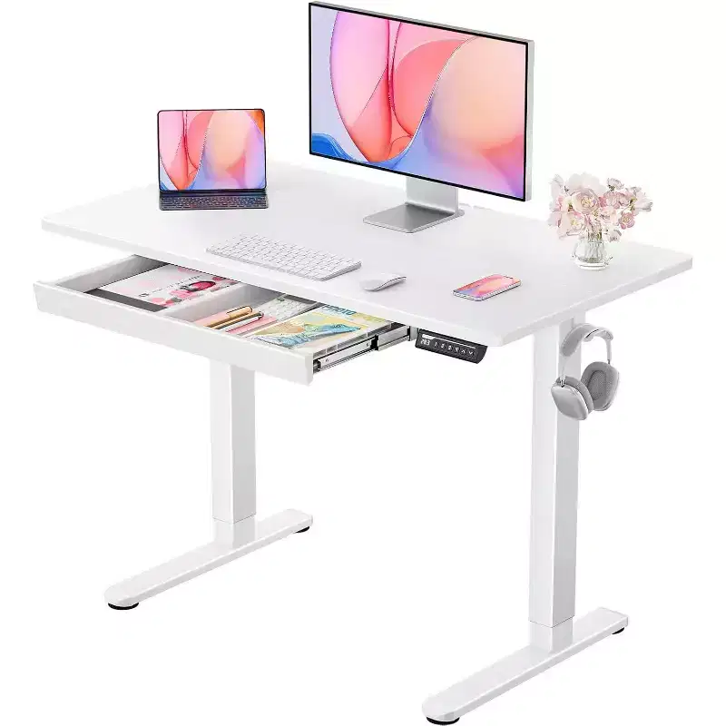 ErGear 44X24 Electric Standing Desk with Drawers, Height Adjustable Desk with 4 Preset Heights, Ergonomic Rising Home Office Computer Table, White
