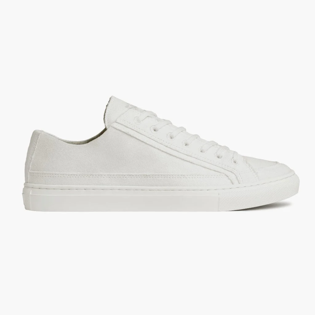 sneakers white
