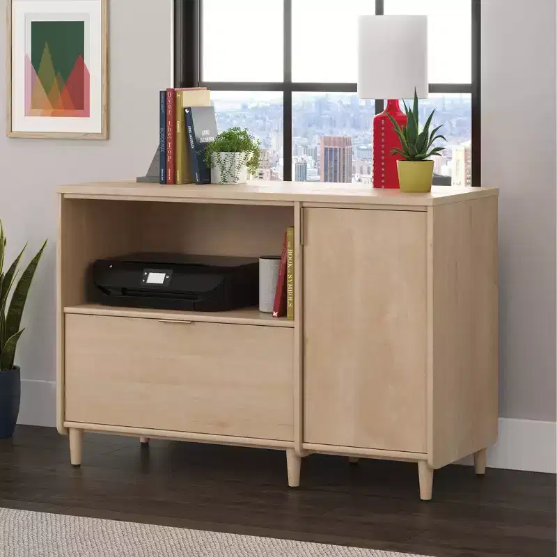 Mid-Century TV Credenza with File Storage & Adjustable Shelf