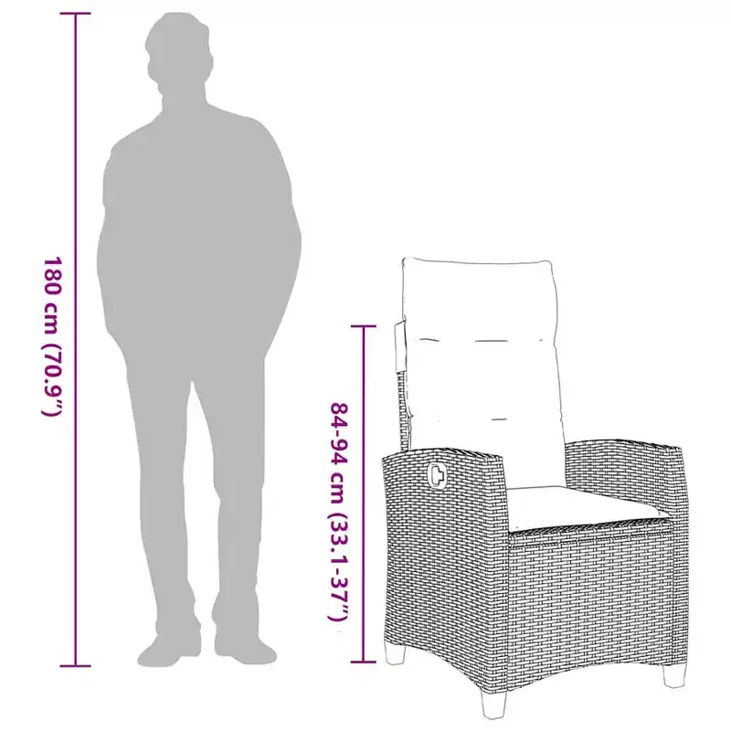 vidaXL Reclining Garden Chair PE rattan, powder-coated steel Medium