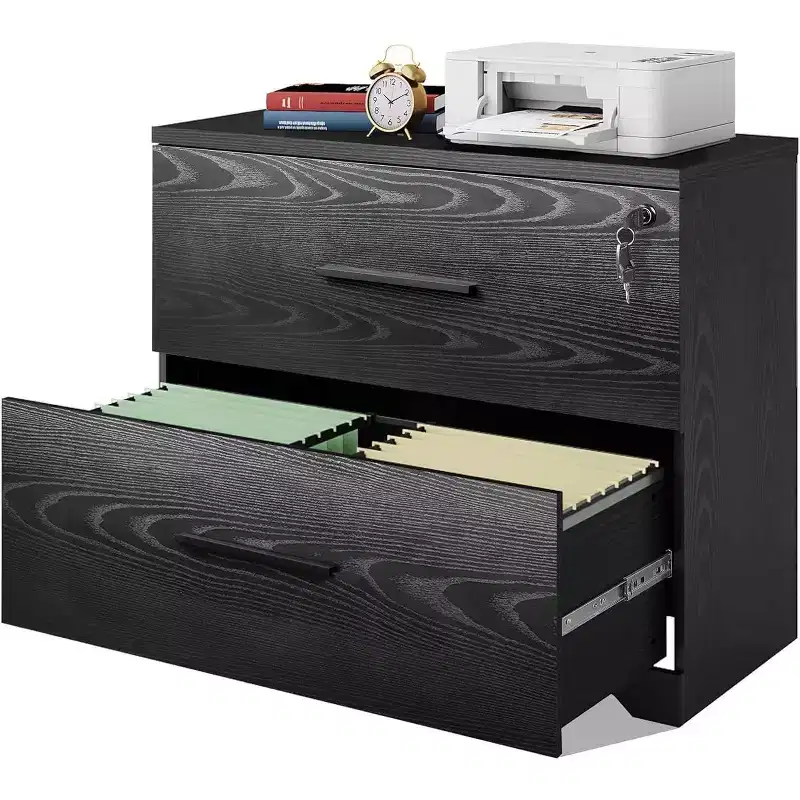 DEXYLLO 2-Drawer Wood Lateral File Cabinet with Lock for Home Office