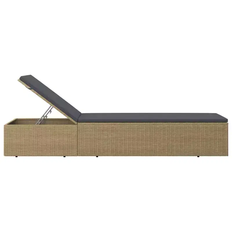 vidaXL Sunlounger and PE rattan Standard Foldable