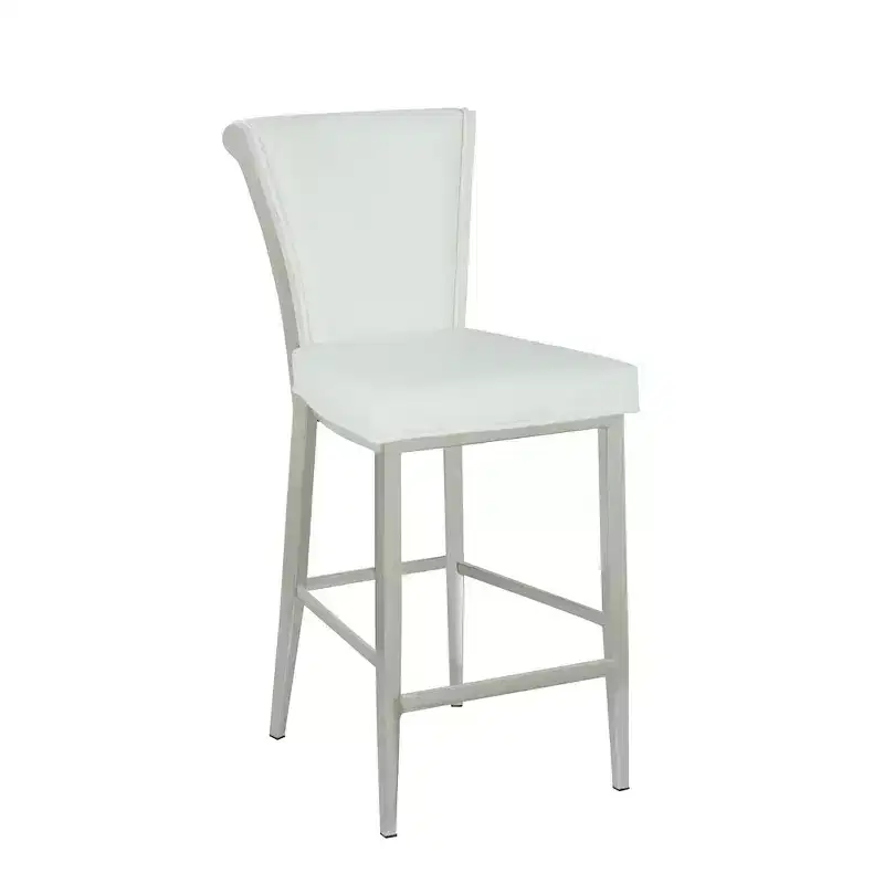 Contemporary  Back Bar Stool