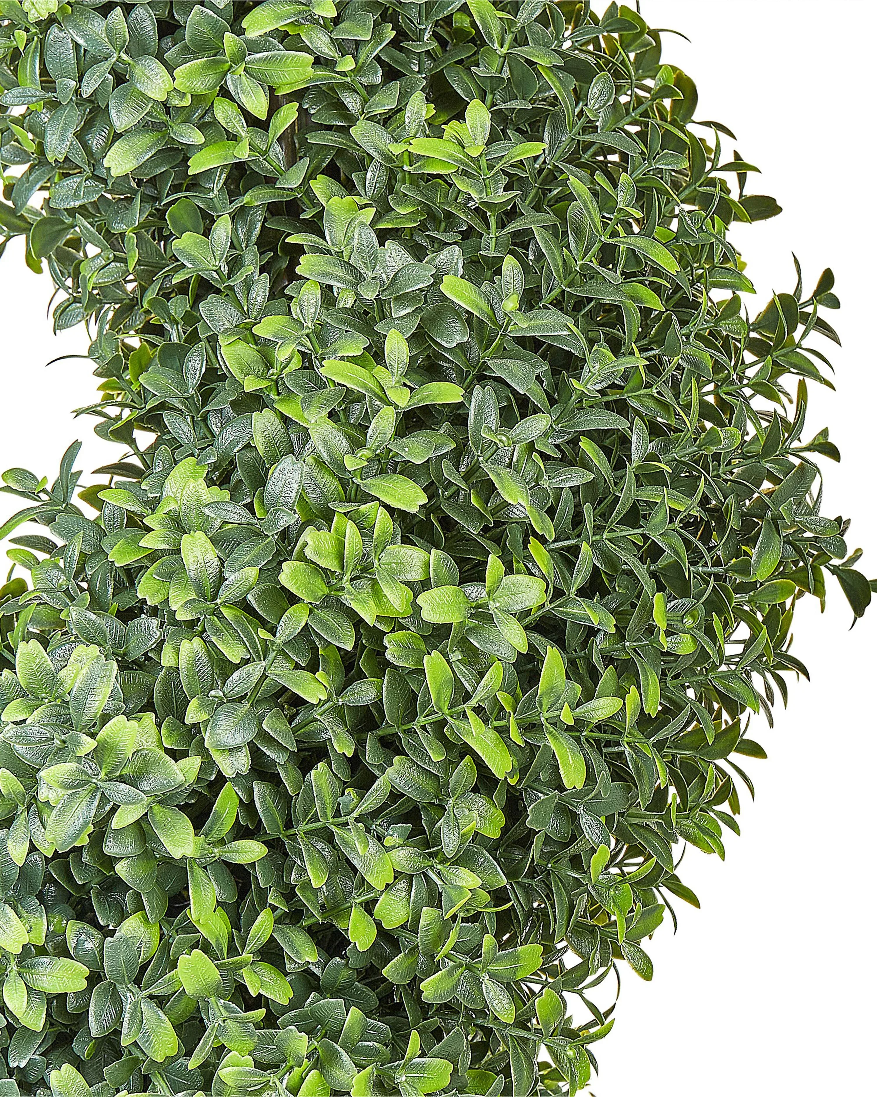 Pianta artificiale BUXUS SPIRAL TREE 98 cm Verde
