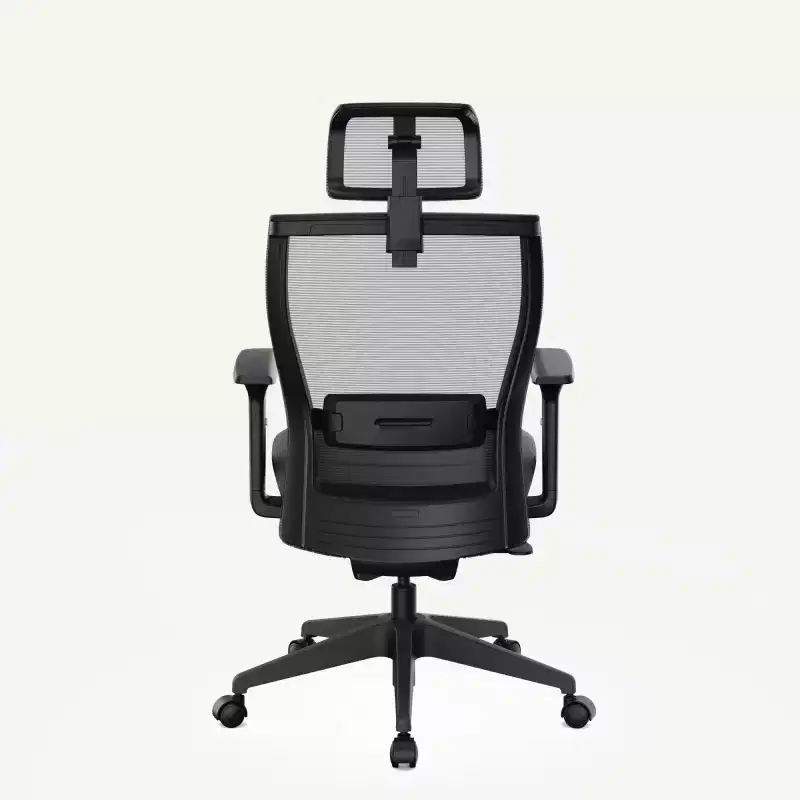 FLEXISPOT C4 Standard Ergonomic Office Chair, Foam Seat Cushion, Black