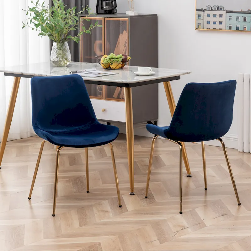 Roundhill Furniture Aufurr Modern Velvet Dining Chair (Set of 2)