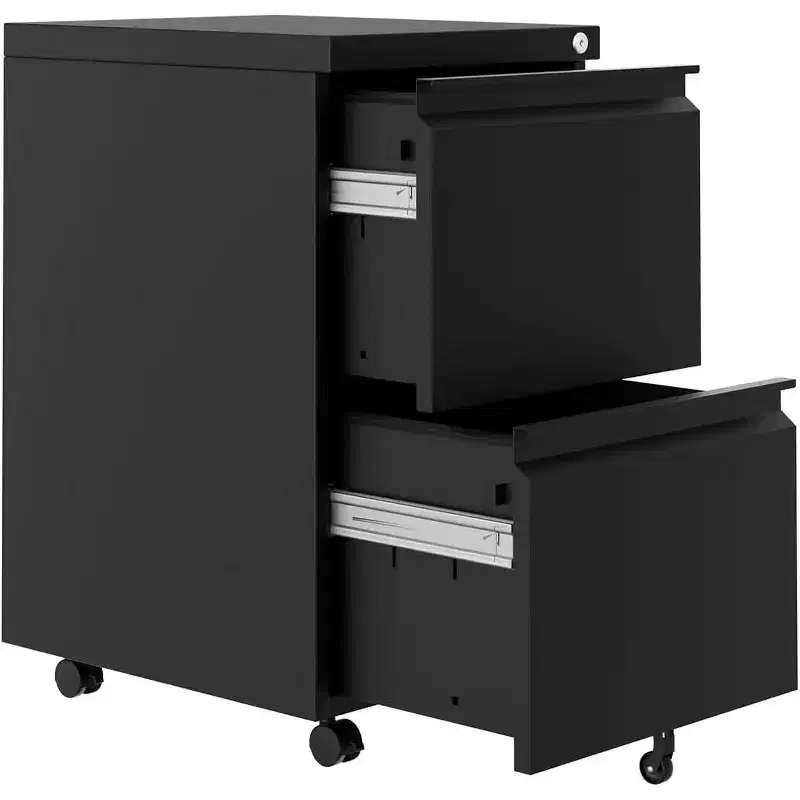 Acekool 2-Drawer Vertical Storage Cabinet with Lock, Metal File Organizer for Home Office or Bathroom, Letter/Legal Size Files, Black