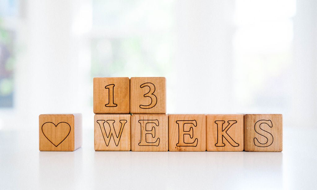 Bump & Baby Milestone Blocks