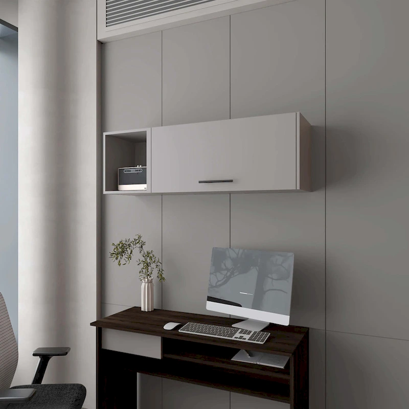 Wall Cabinet with Pneumatic Arms