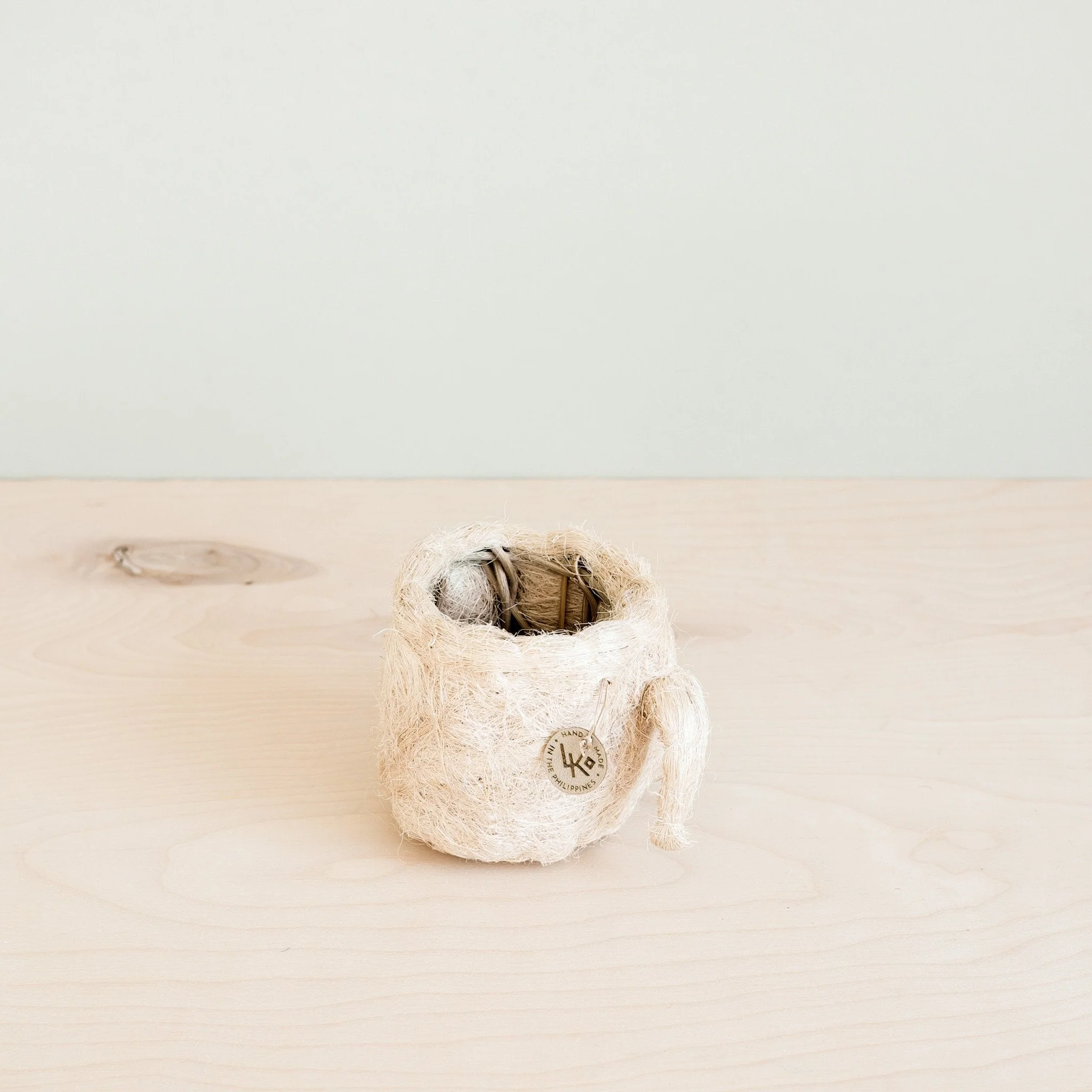 Pig Plant Pot - Animal Head Plant Pot