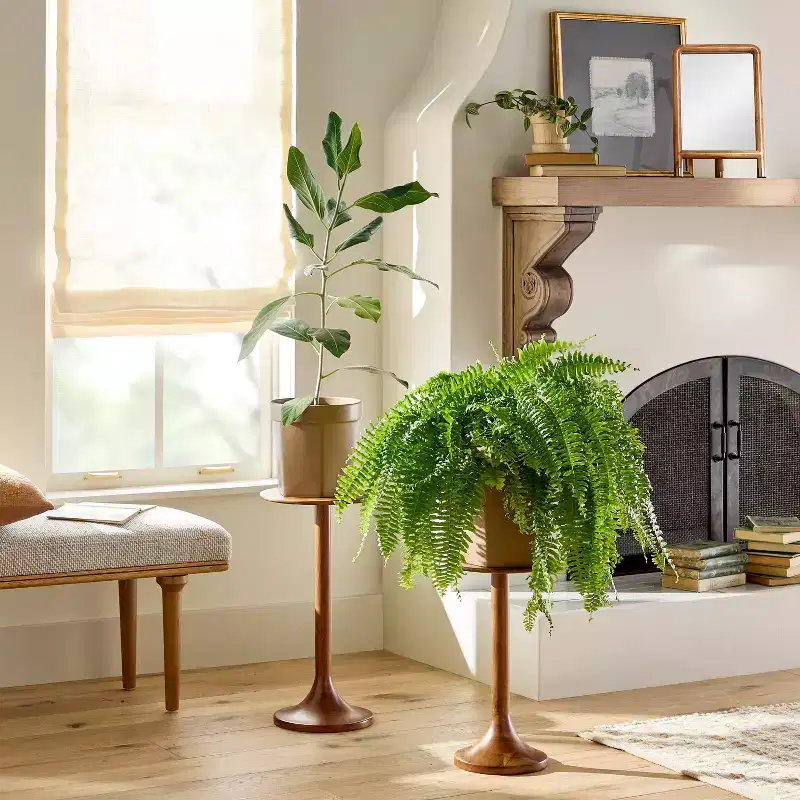 Wood Accent Mirror with Brass Feet - Hearth & Hand™ with Magnolia