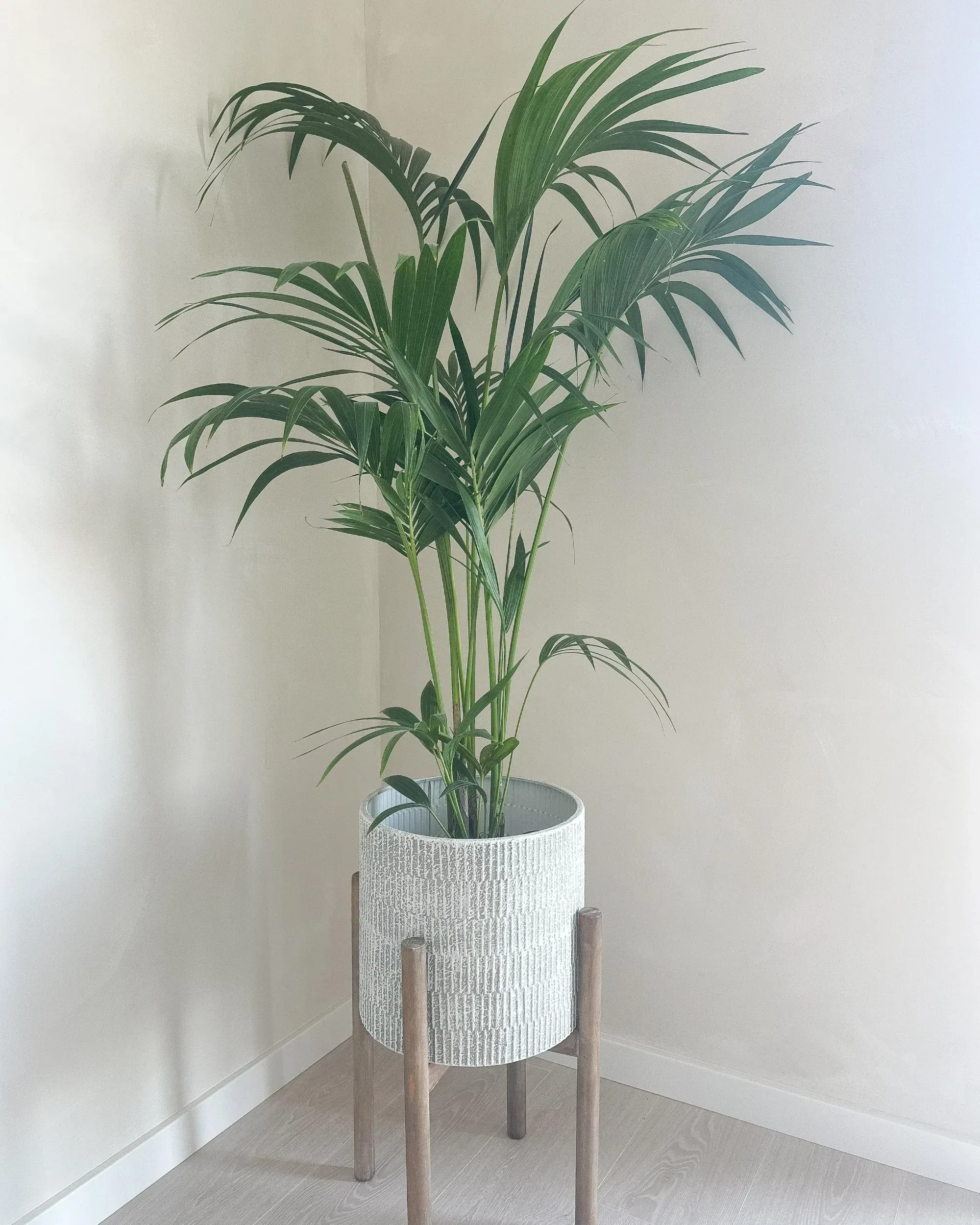 Vaso per piante rialzato Metallo 30 cm Grigio