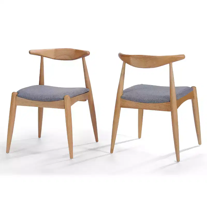Set of 2 Francie Mid Century Dining Chairs - Christopher Knight Home